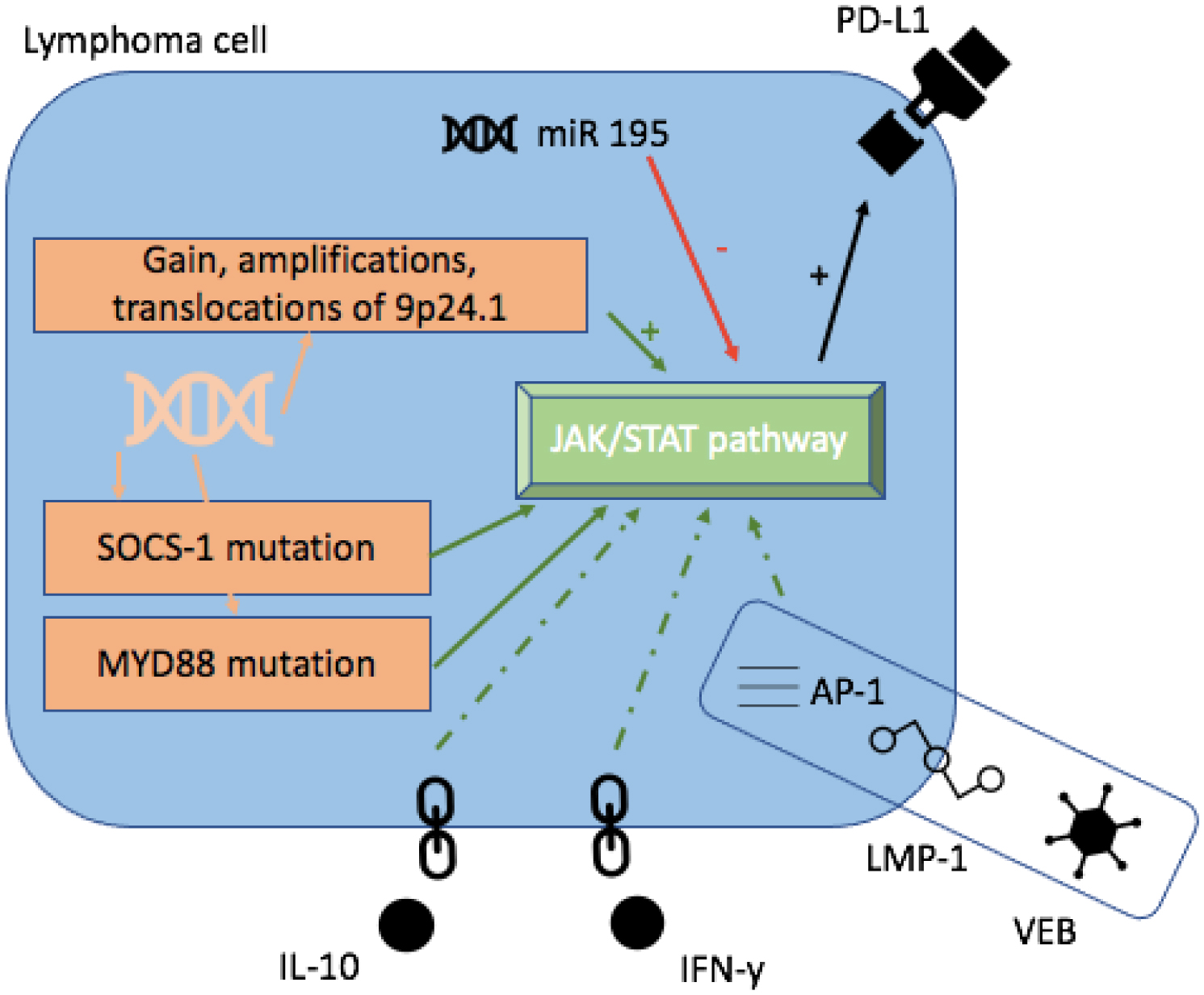 Immunotherapy For Diffuse Large B-cell Lymphoma: Current Use Of Immune ...